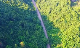 Hình ảnh tuyến đường duy nhất nối Bình Phước với Đồng Nai nhưng bị ngăn cách