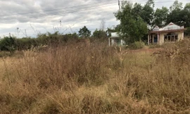 Khốn khổ vì dự án đô thị kết hợp công viên ‘đắp chiếu’ hơn 20 năm 