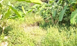 Công an Bình Dương thông tin vụ phát hiện bộ xương người trong lùm cây