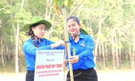 Trồng mới 1 triệu cây xanh 'Vì một Bình Dương xanh'