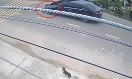 Công an Bình Dương thông tin vụ 'xế hộp' kéo lê xe máy trên đường 