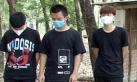 Bao vây vườn điều, bắt 9 người Trung Quốc nhập cảnh trái phép