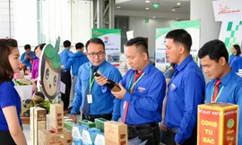 Liên hoan thanh niên tiên tiến các tỉnh, thành phía Nam lần thứ III, năm 2023