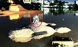 Người đàn ông bị nước cuốn trôi, tỉnh dậy tưởng mình đang ở đảo