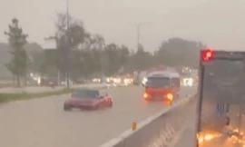 Mưa lớn tại Bình Dương, đường hóa sông, cây gãy đè xe máy