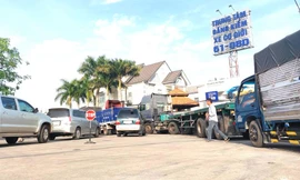 Xe các nơi dồn về, các trung tâm đăng kiểm ở Bình Dương quá tải