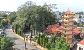 Bình Dương đầu tư trên 320 tỷ đồng xây dựng khu lưu niệm cụ Phó bảng Nguyễn Sinh Sắc