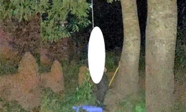 Đi bắt ve sầu, kinh hãi phát hiện người chết trong tư thế treo cổ