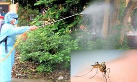 Bình Dương: Sốt xuất huyết gia tăng sau khi có 5 ca tử vong