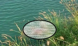 Phát hiện cánh tay người móc vào lưỡi câu ở Bình Dương