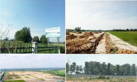 'Màn ảo thuật' biến 188ha đất công thành đất tư khiến loạt lãnh đạo Bình Dương bị xử lý 