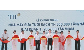 TH True MILK: Từ giọt sữa sạch đến chiến lược quốc gia