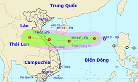 Áp thấp nhiệt đới giật cấp 8, gây mưa lớn trên diện rộng