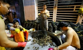 Chợ cua đồng hoạt động lúc nửa đêm trên vỉa hè Sài Gòn