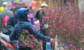 Các bộ ngành góp ý gì về lịch nghỉ Tết Nguyên đán?