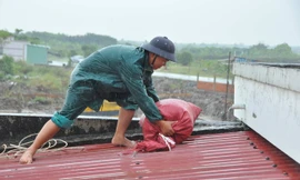 Dân quân tự vệ dầm mưa chằng chống nhà cửa chống bão