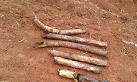 Bom bi được phát hiện ở khu vực bản Troan Thượng (xã Xy, Hướng Hóa, Quảng Trị). Ảnh: H.Thơ.