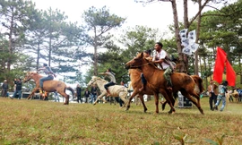 Quang cảnh cuộc đua.