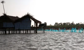 Trả lại hiện trạng tự nhiên Đầm Thị Tường