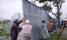 Xúc động hình ảnh người Đà Nẵng dầm mưa dọn dẹp sau bão đón APEC
