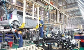 Ảnh nguồn internet