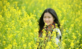 Những địa điểm chụp hoa cải đẹp tại Hà Nội giới trẻ phải biết