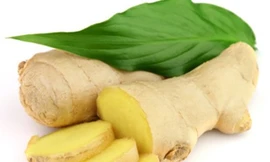 Công dụng tuyệt vời của củ gừng