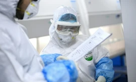 Phát hiện mới về sự lây nhiễm virus SARS CoV -2 từ người sang người