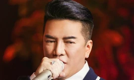 Đàm Vĩnh Hưng xin lỗi