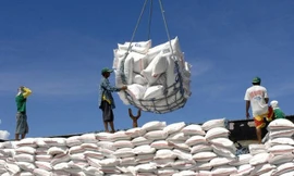 Ấn Độ cấm xuất khẩu gạo: Đòn giáng mạnh vào thương mại nội địa