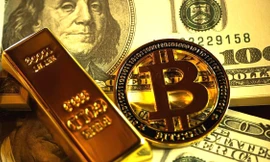 Bitcoin lao dốc, nhà đầu tư 'bốc hơi' hàng trăm triệu USD