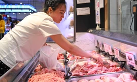 Thịt lợn nhập khẩu đổ về Việt Nam, giá chỉ 55.000 đồng/kg