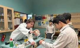 New Zealand - điểm đến học sinh phấn khởi, phụ huynh tâm đắc