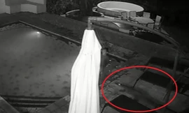 Khoảnh khắc cá sấu bất ngờ lao xuống hồ bơi tấn công du khách