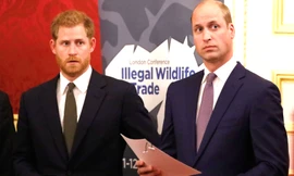 Harry khinh miệt William