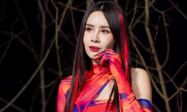 Lưu Hương Giang sau khi sa sút ở Chị đẹp vì biến cố hôn nhân
