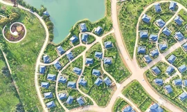 Vó ngựa tiên phong