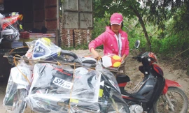 Đông Hồ hàng mã