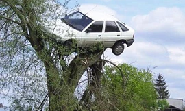 Treo ôtô hàng xóm lên cây để cảnh báo