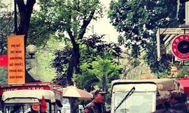 Ly cà phê đắng Tonkin