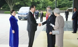 Nhà vua Nhật Bản và Hoàng hậu đón Chủ tịch nước Trần Đại Quang và Phu nhân. (Ảnh: TTXVN)