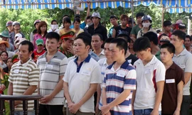 Cưa một cây gõ đỏ, 14 người lĩnh án