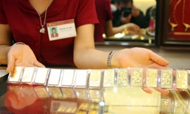 Tù mù giá vàng độc quyền