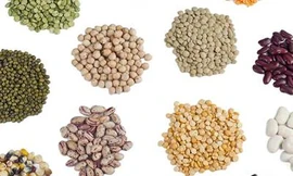 Ăn hạt giúp giảm cân hiệu quả