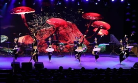 Thủ tướng Phạm Minh Chính dự khai trương triển lãm về Chủ tịch Hồ Chí Minh tại Brazil