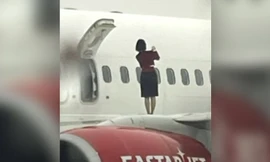 Một nhóm tiếp viên hàng không bị điều tra 