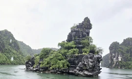 Tận mắt chiêm ngưỡng cực phẩm hơn 320 triệu năm trên vịnh Hạ Long 