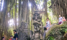 Hai nữ du khách thiệt mạng trong Rừng Khỉ thiêng