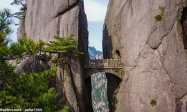 Tò mò về cây cầu không dành cho người yếu tim 