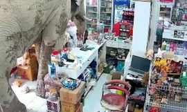 Hú vía cảnh voi đột nhập cửa hàng tìm... đồ ăn vặt